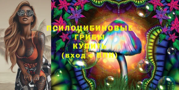 mdpv Арсеньев