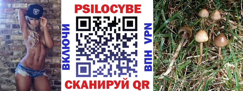KRAKEN   Вельск  Псилоцибиновые грибы GOLDEN TEACHER 
